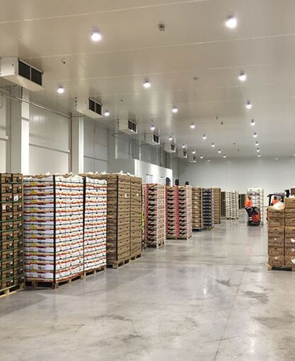 agromerchants algeciras2